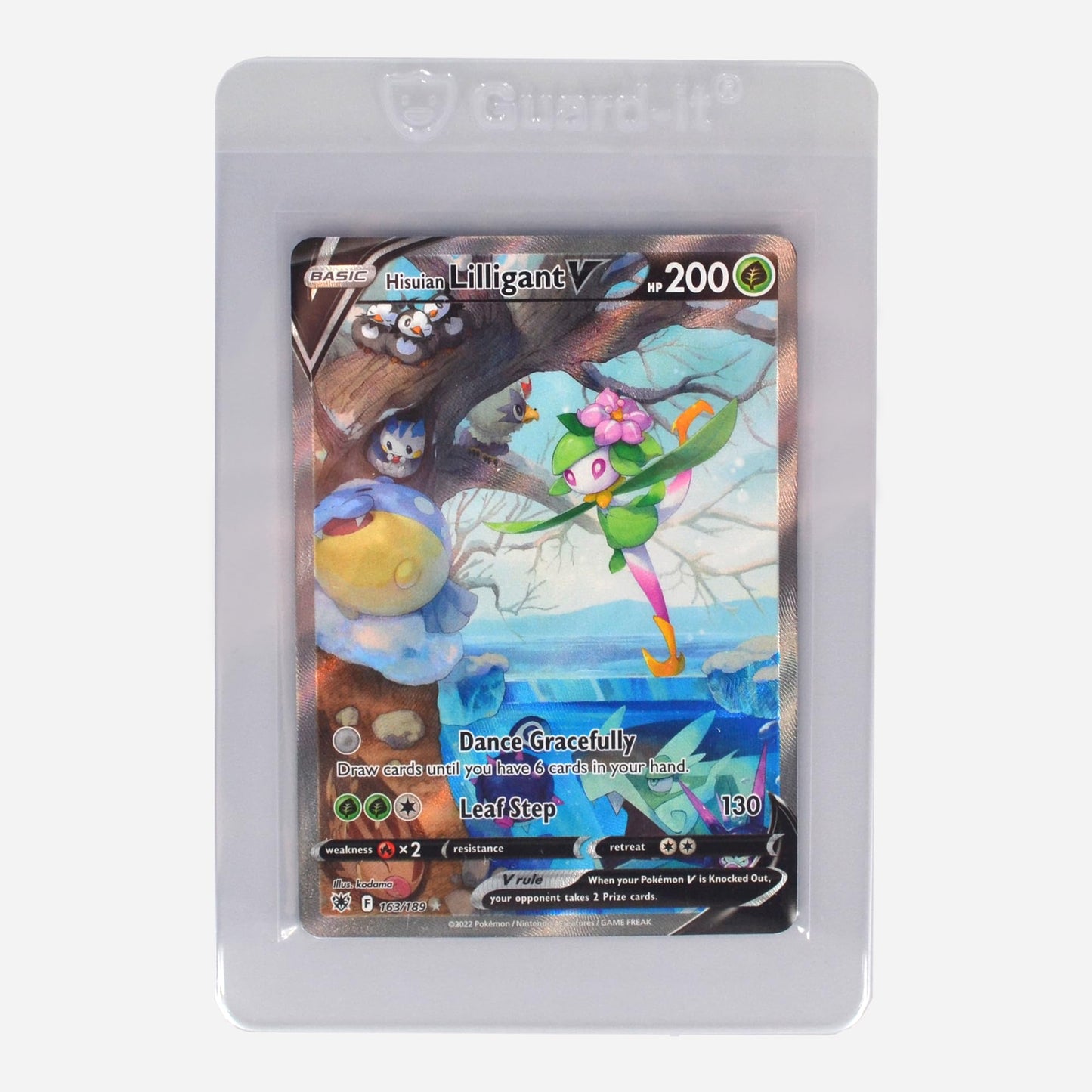 Semi-rigid Card Holders – Clear